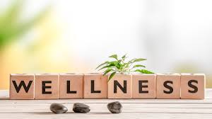 Who creates a trusted wellness guide?