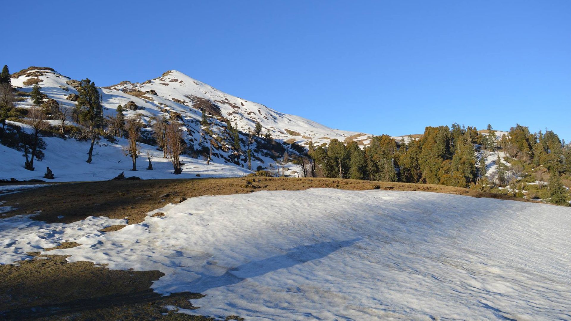 Kedarkantha Trekking Tour With | Trekwalks