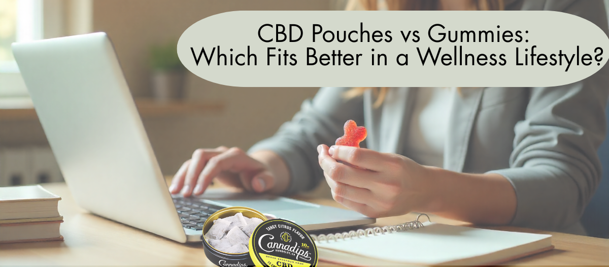 CBD Pouches vs Gummies: Which Fits Better in a Wellness Lifestyle?
