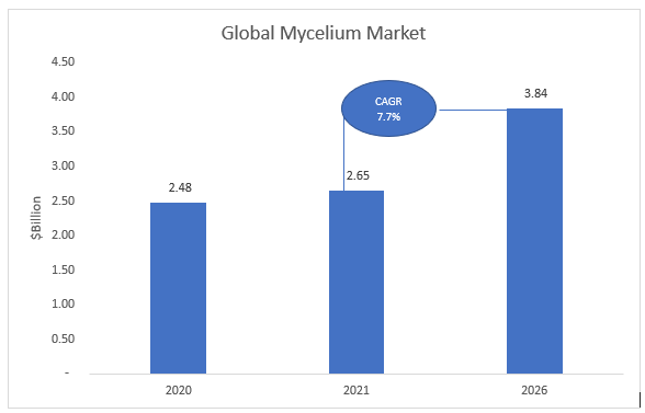 What is Mycelium and What is it's Expected Market Value in Coming Years | Bis Research