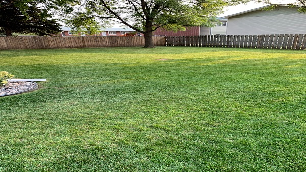 Find the Professional Fencing Company in Grand Forks