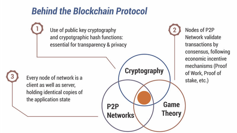 Understanding the Basics of Blockchain Protocol: How Does it Work?