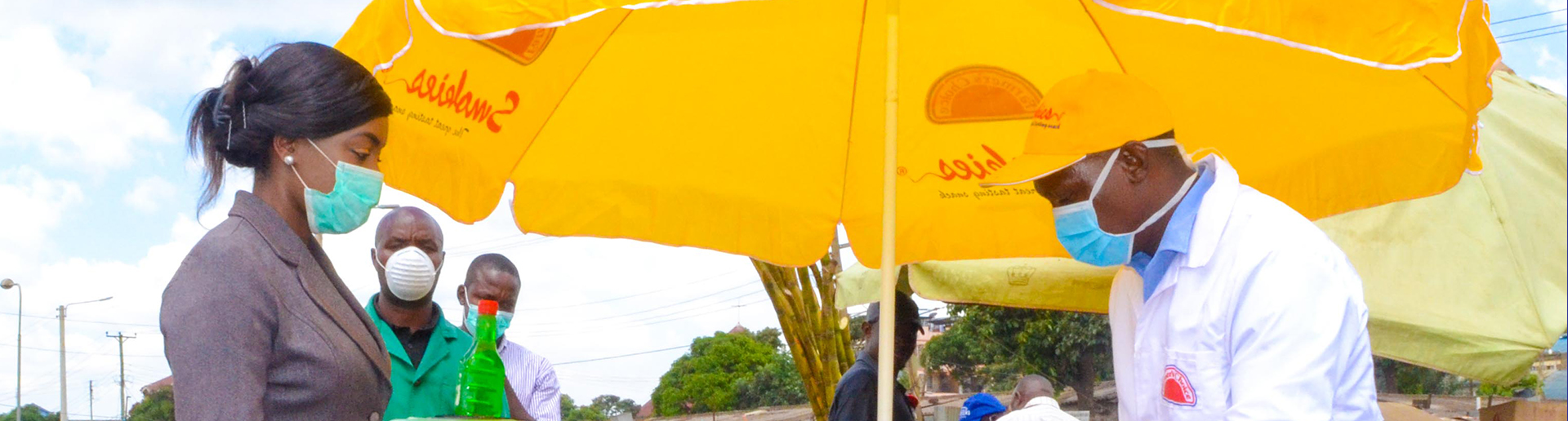 Pig Productions in Kenya