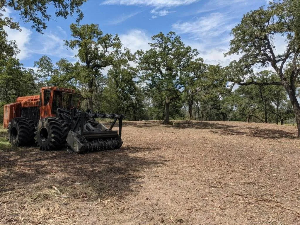 Benefits of Forestry Mulching for Land Clearing Projects