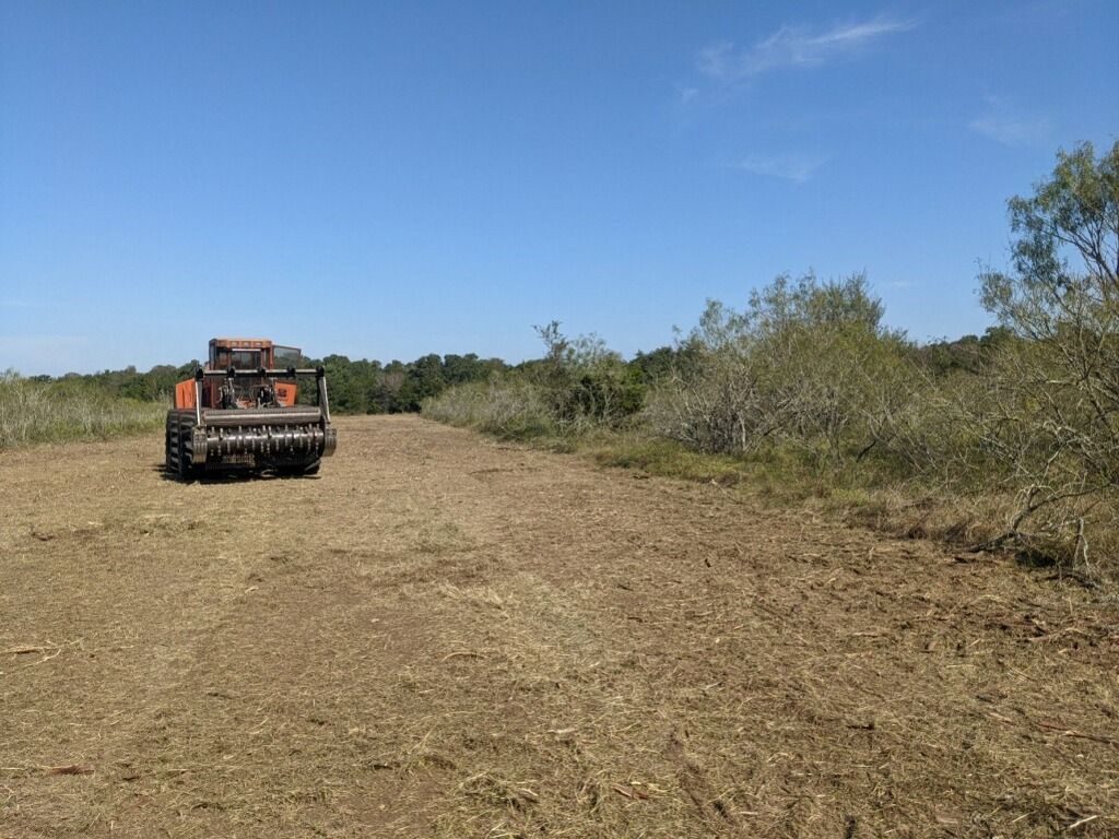 Cedar Shredding and Forestry Mulching | Pierce Land Clearing LLC