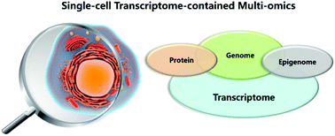 Single Cell Multiomics Market Report Analysis