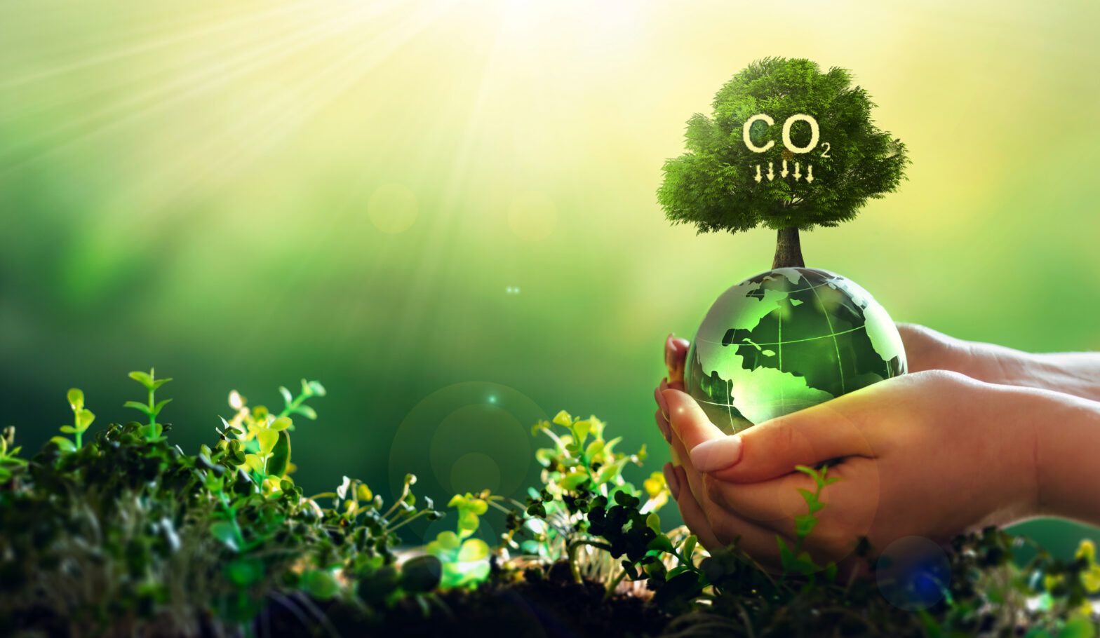 Global Carbon Verification Market Is Estimated To Witness High Growth Owing To Increasing Environmental Concerns