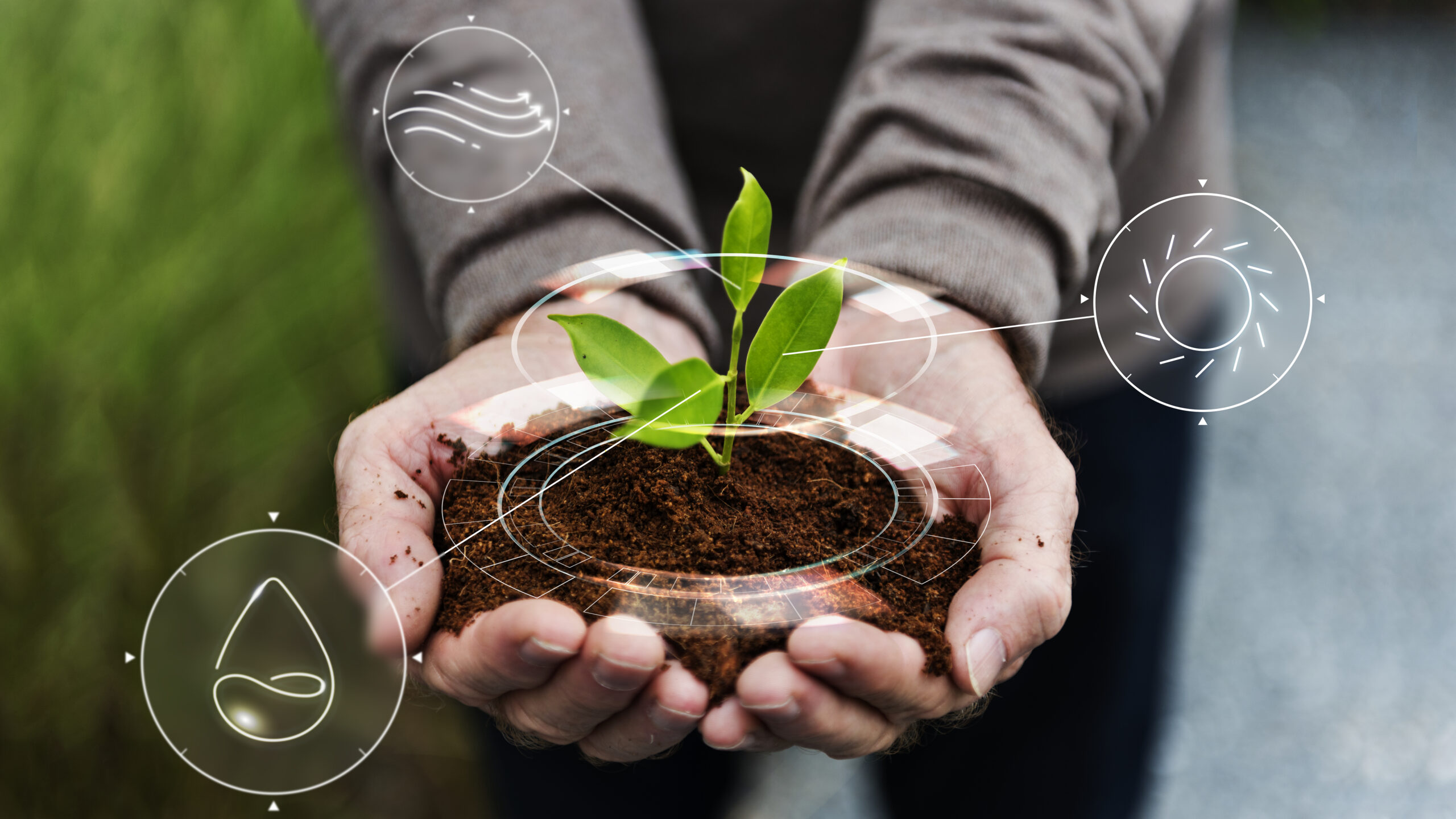 Biostimulants Market Is Estimated To Witness High Growth Owing To Increasing Demand For Organic Food