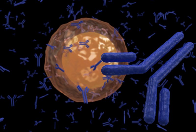 Research Antibodies Market Is Estimated To Witness High Growth Owing To Increasing Demand for Targeted Therapies
