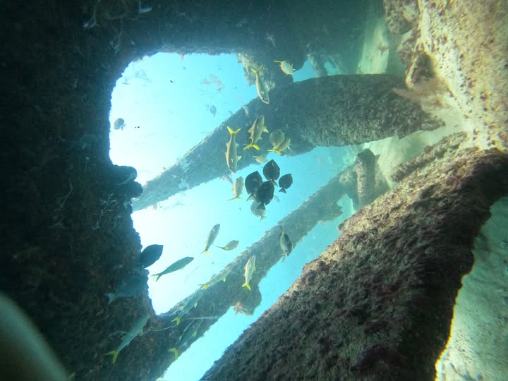 Experience The Best Scuba Diving Tour in Punta Cana with Grand Bay of the Sea