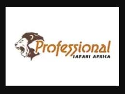 Tanzania safari tours - 3 Reasons why Tanzania safari is the best place to travel in the world