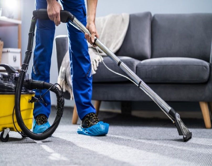 What Carpet Cleaning Solution Is The Best? 