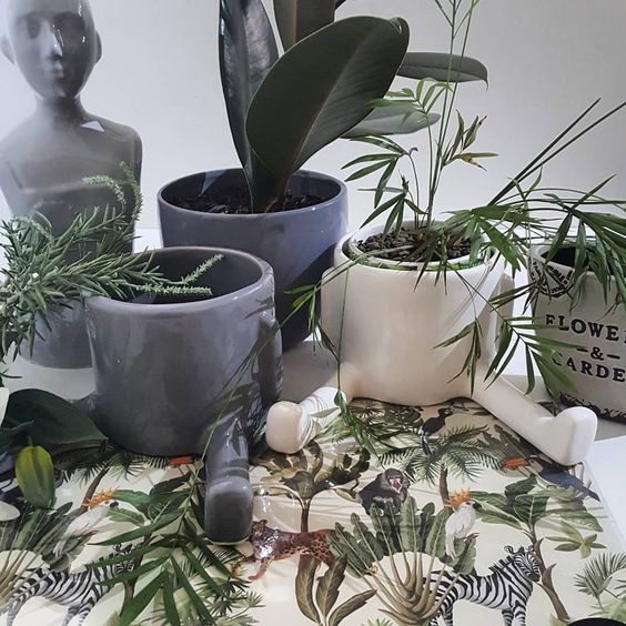 Get the Elegant charm you've been looking for your haven spaces
