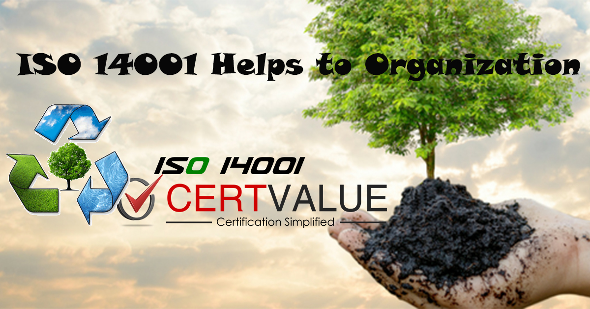 What is ISO 14001 Certification, How does help Producing Organization?