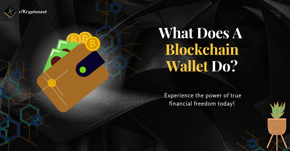 Do You Know About The Actual Working Of Blockchain Wallets?