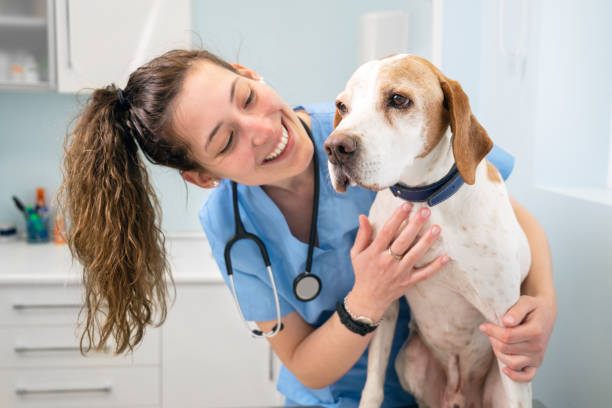 Companion Animal Healthcare Market to Witness Steady Growth During The Forecast Period 2027
