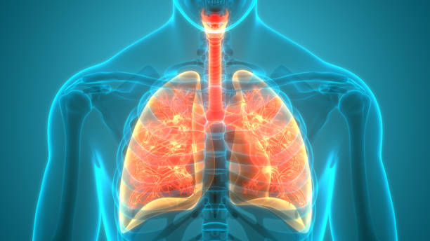 Bronchitis Market outlook, Industry Demand, Scope, Future Growth, Regional Trend Forecast to 2027