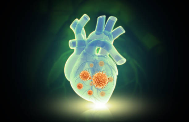 Cardiovascular Information System Market Developments, Growth Analysis, Opportunities, Trends and Forecast to 2029