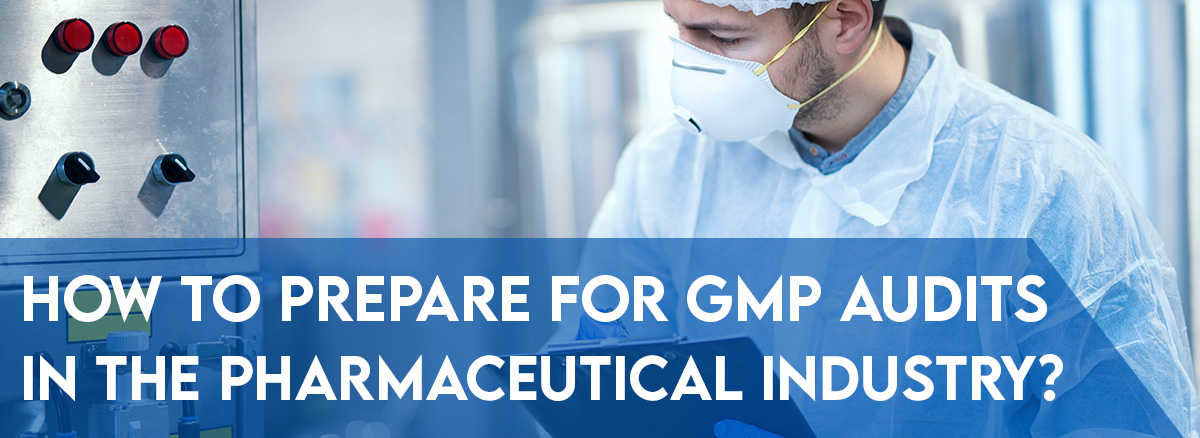 Preparation for GMP Audit in the Pharma Industry