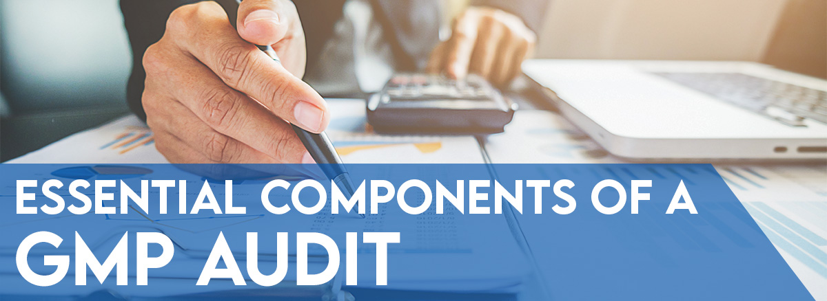 Essential Components Of A GMP Audit