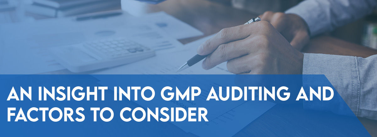 What Factors Should You Consider During GMP Auditing?