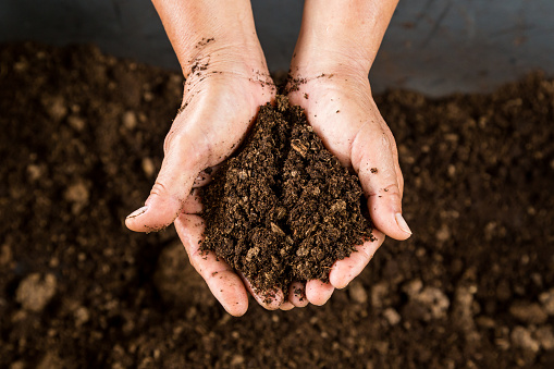 Peat Industry by Applications: Key Players, Industry Insights and Dynamics, Growth and Supply Chain Analysis 2027