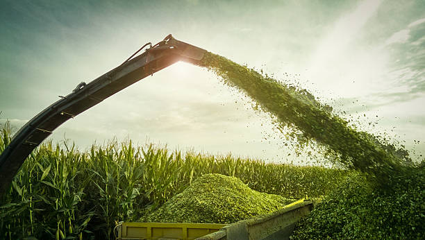 Silage Inoculants Type Industry 2018 Development Status, Competition Analysis, Application 2025