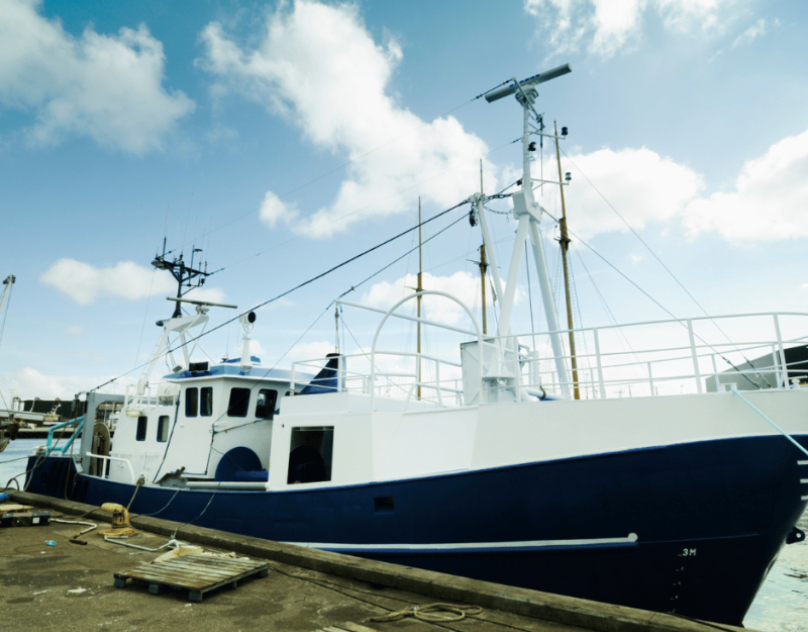 Exploring the Depths: Examining the Grading, Sorting, and Compliance Processes in the Fishing Industry