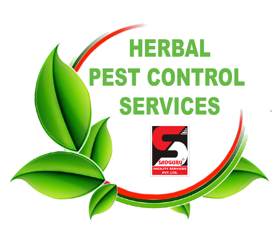 Pest Control Near Me by Sadguru Pest Control