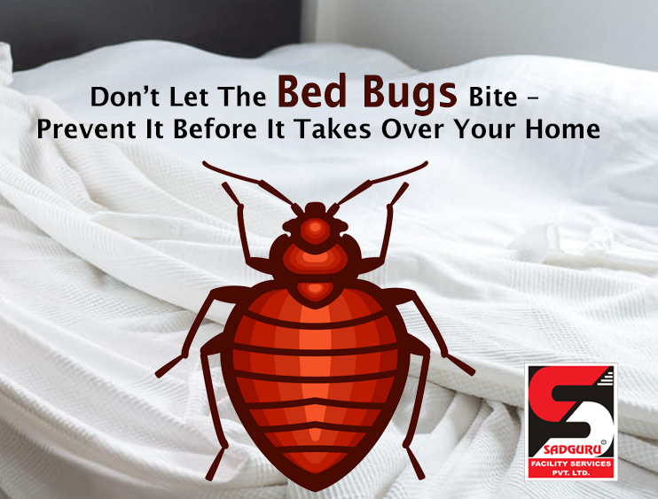 Sadguru Pest Control Treatment in Dadar