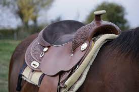 Horse Saddle for Sale
