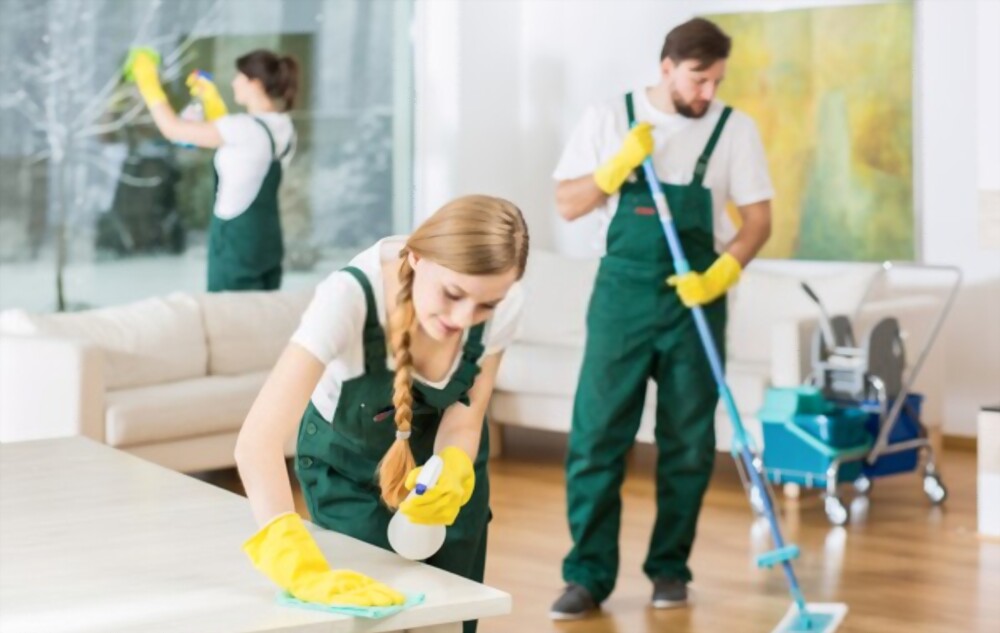 Book professional domestic cleaning services in Dubai