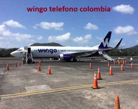 wingo telefono colombia