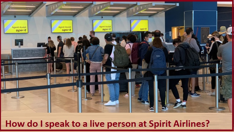 How to connect with Live Person at Spirit Airlines?  