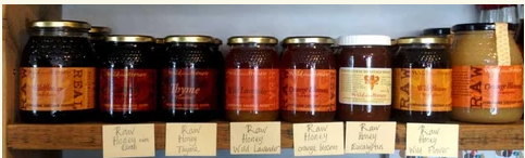 Buy Raw Honey to Leverage Its Incredible Health Benefits 