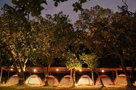 Greenwoods Jungle Camp | Dew Drops Jungle Resort | Dandeli Resorts