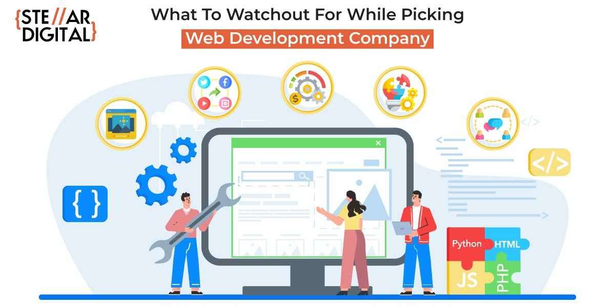 What to look for when choosing a web development company? 