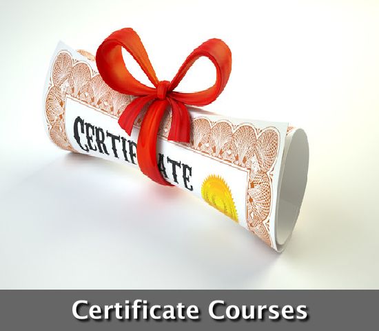 Importance of taking Computer & Vocational Training