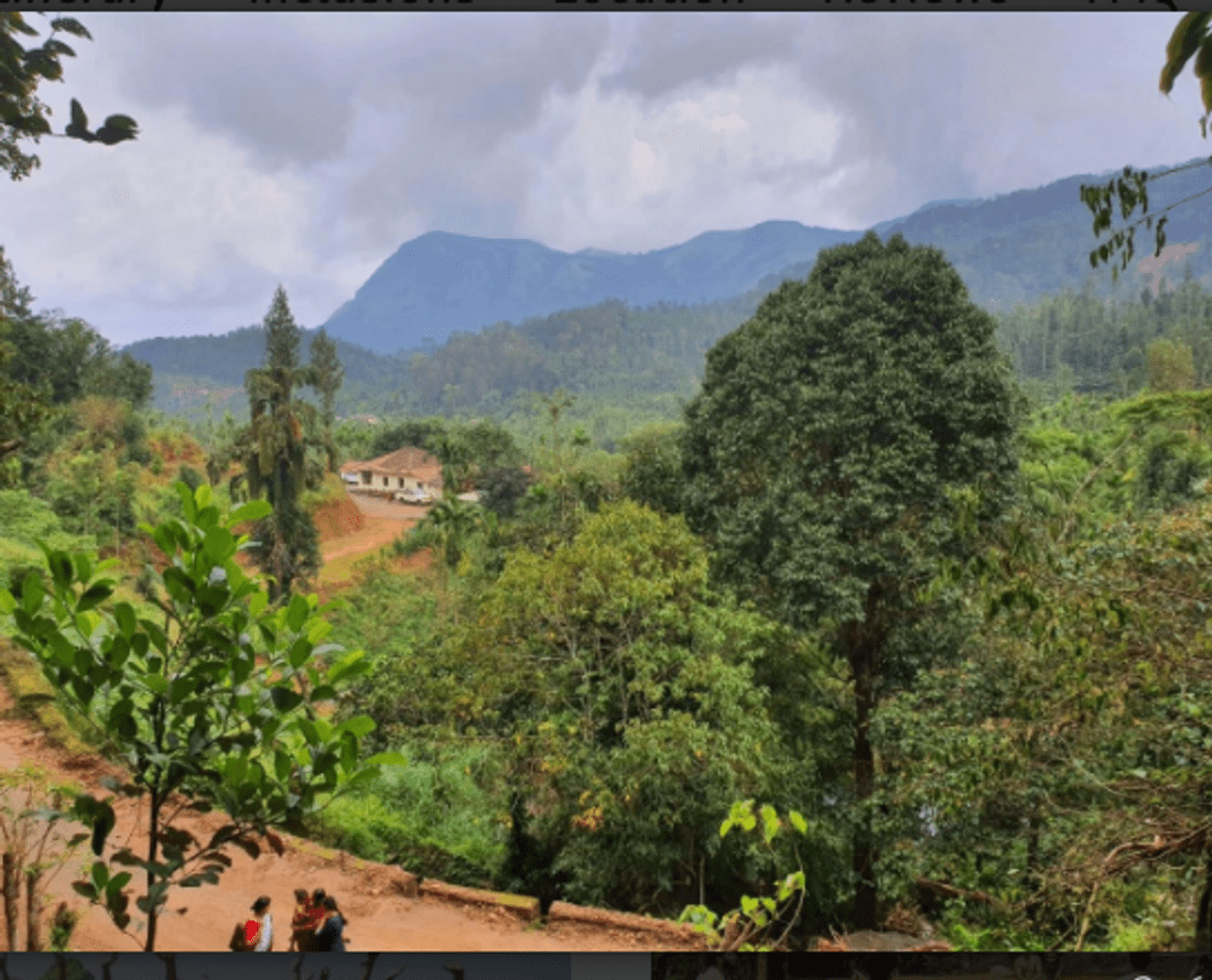 best chikmagalur resort