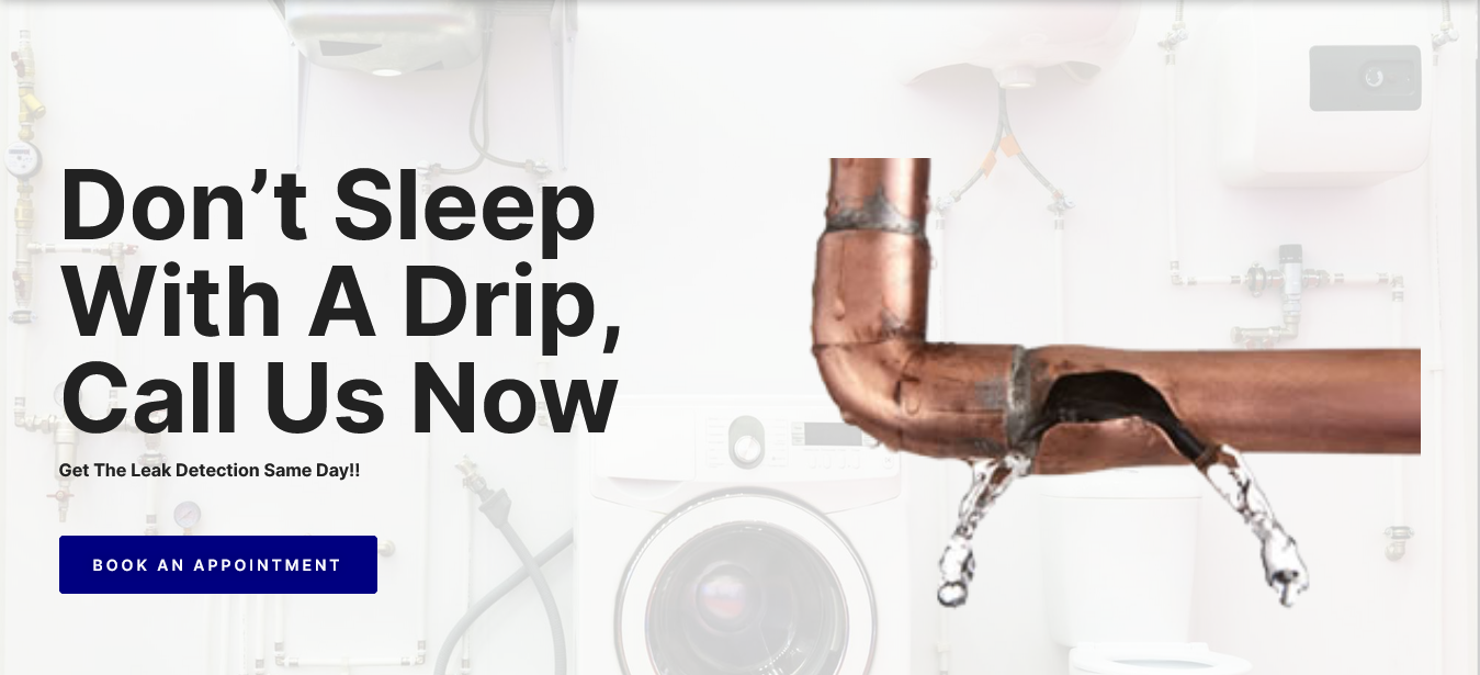 Choosing a Leak Detection Specialist