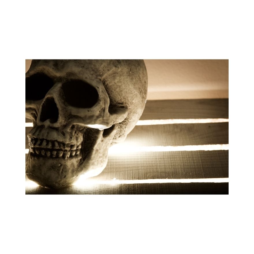 Benefits of Skull Hookah Bowls