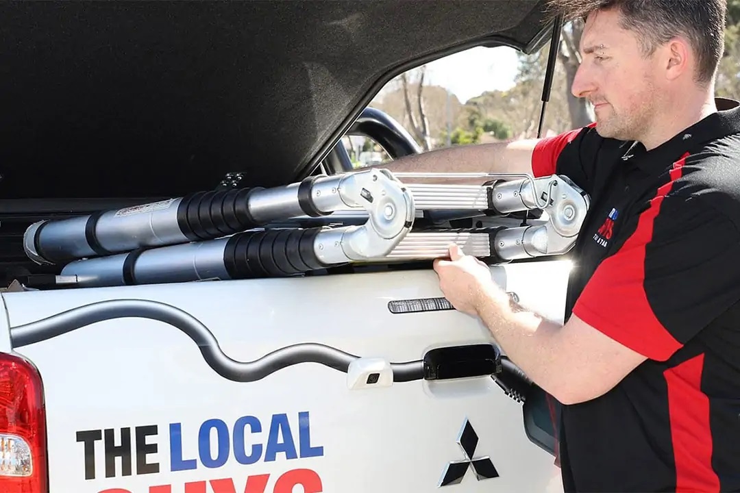 How Does Franchise Advice Aid in Business Establishment?