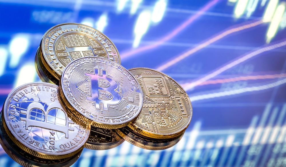 Rise Coin Launching in 2022 - The Next Dogecoin?
