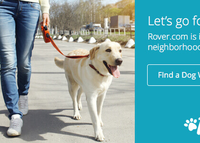 How to build an app like Uber for finding dog walkers