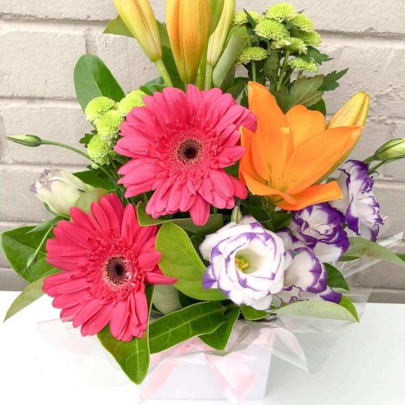 How Perfection Flowers Are Produced