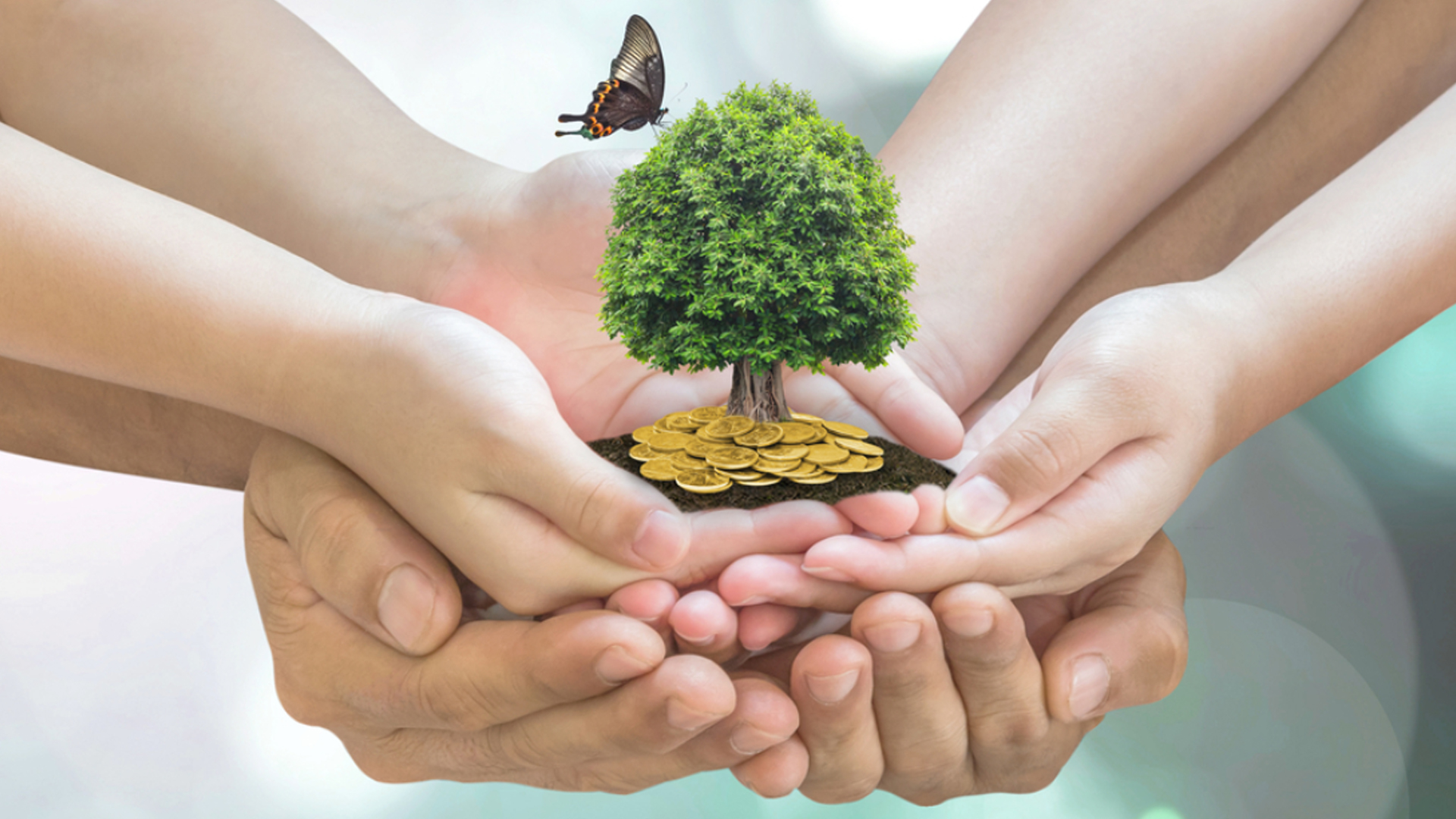 A glance at CSR with ISO 26000
