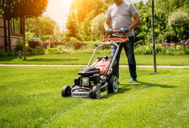 What Will The NDIS Cover For Yard Maintenance?