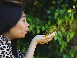 Business Photography Services