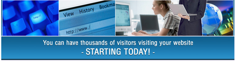 Buy Organic Website Traffic