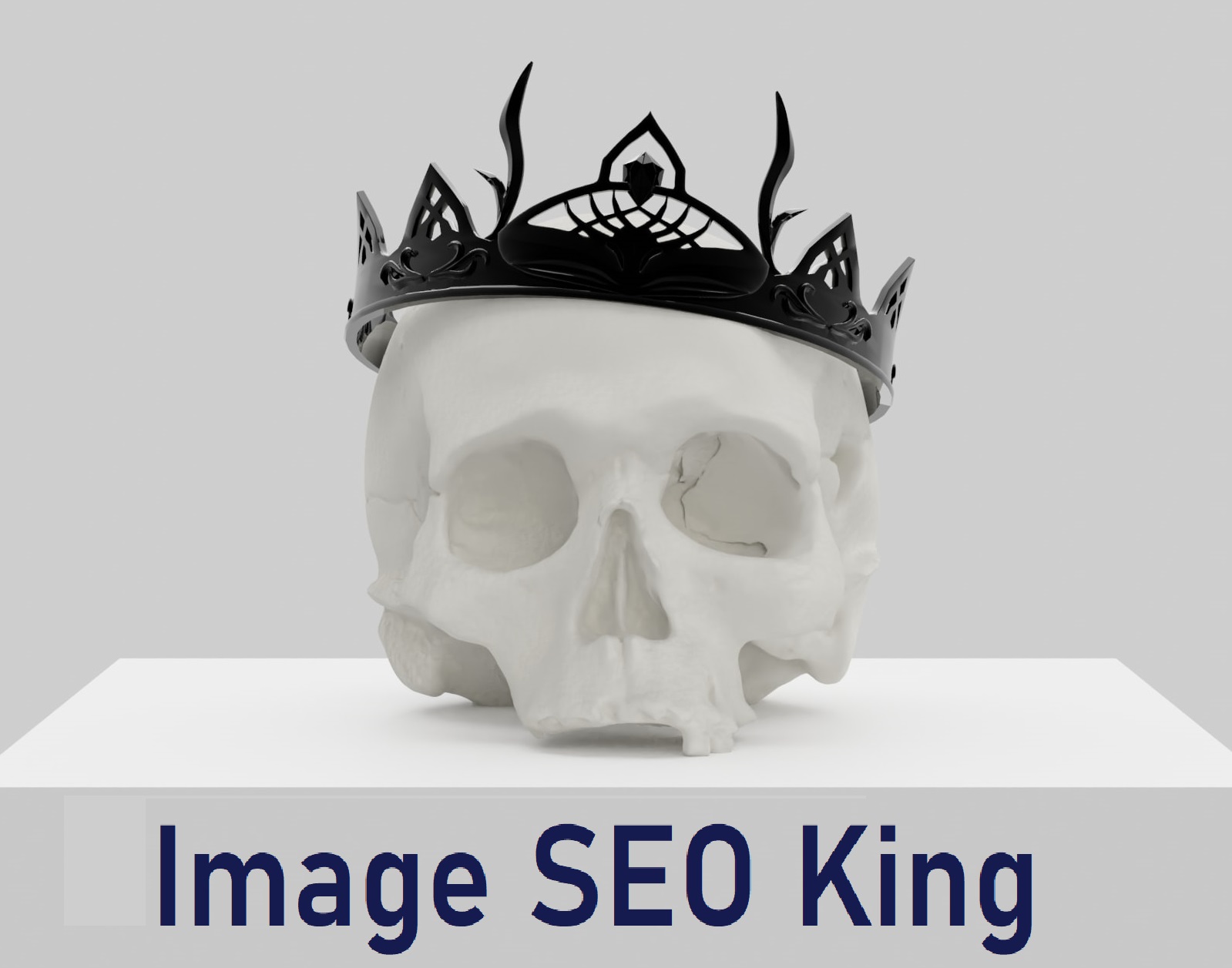 Image SEO King - An SEO Contest